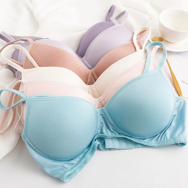 100% Natural silk Sexy Bras for Women Push Up Lingerie Seamless Bra Bralette Wire Free Brassiere Female Underwear Intimates