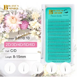 Big eye's secret 0.15 mm 0.20 mm thickness long stem premade fans 2D 3D Volume Lashes Eyelash Extension premade volume fans