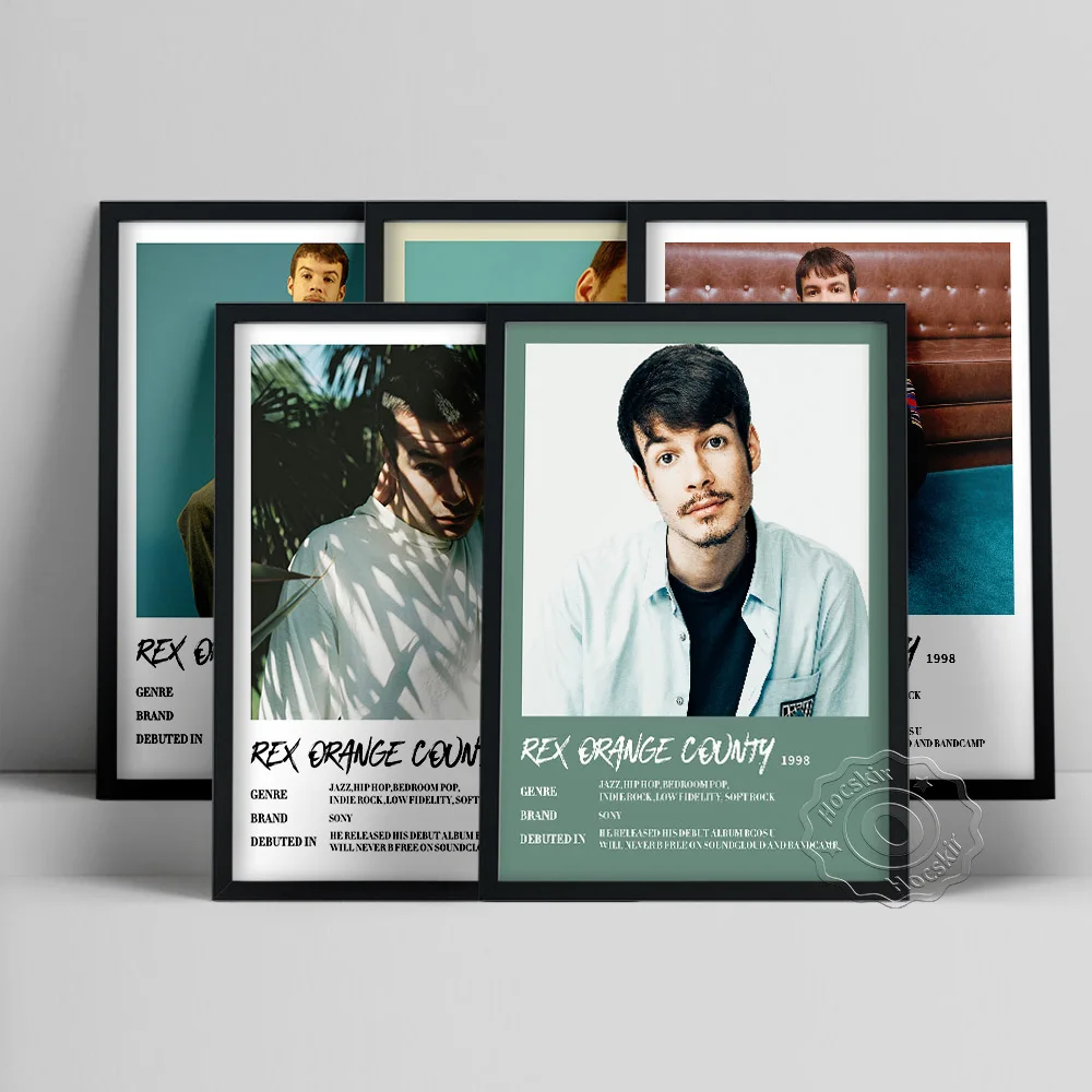 Rex Orange County Poster, Singer Orange County Wall Art, Music Star Rex Wall Painting, Handsome Boy Portrait Picture, Fans Gift