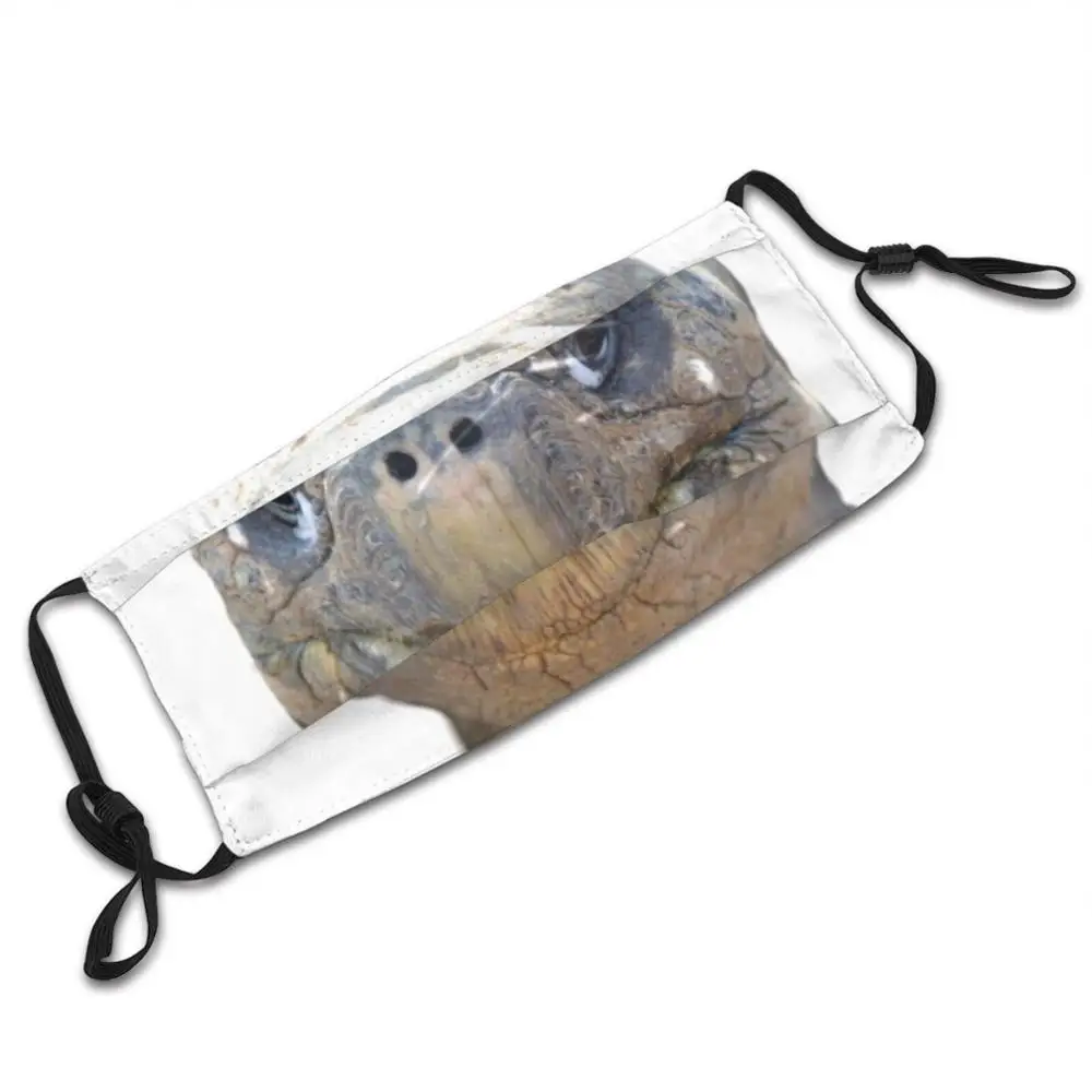 Tortoise. Mask Cloth Reusable Print Filter Washable Tortoise Old Shell Reptile Galapagos