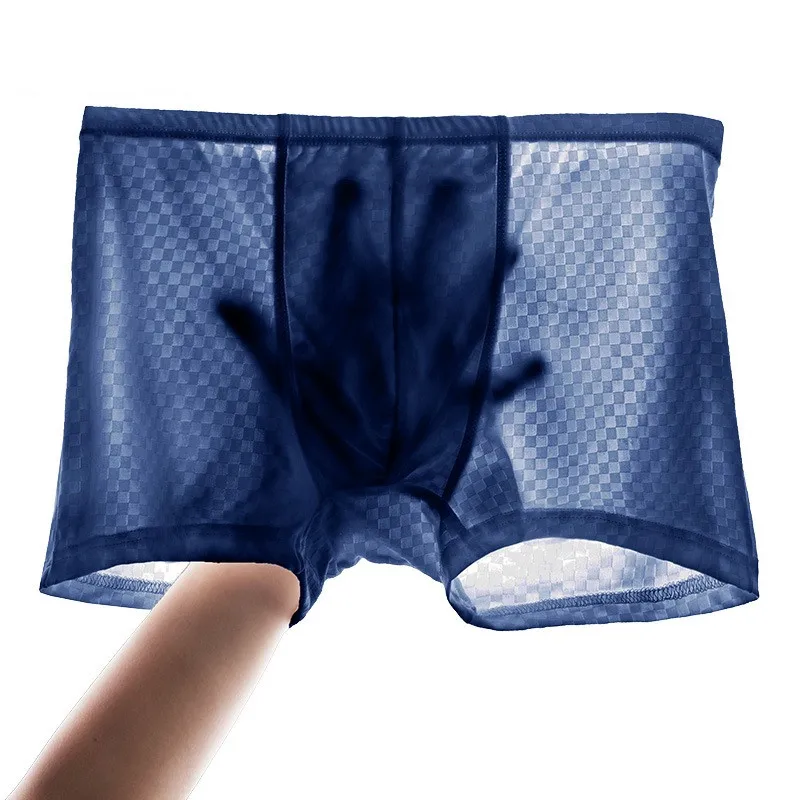 Men\'s Underwear Boxers Mesh Panties Man Solid Transparent Ice Silk Pouch Underpants Male Boxershorts Cueca Calzoncillo L-3X