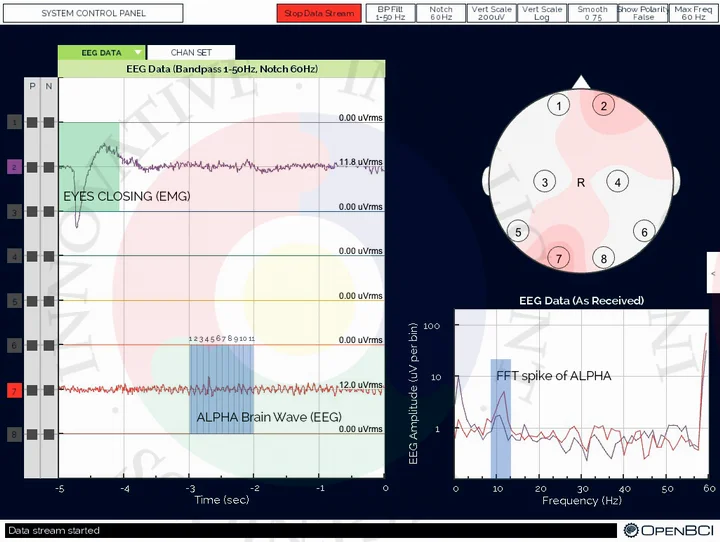 OpenBCI V3 open source EEG electroencephalogram module,8 or 16 channels (with cable version)