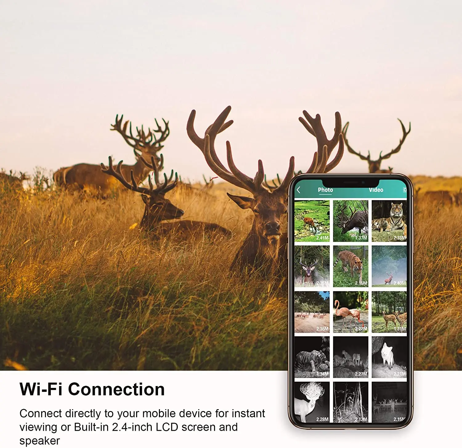 WIFI Live Stream Trail Camera 24MP 1296P APP Live Show Hunting Cameras 940nm IR LEDs No Glow Night Vision Wildlife Monitoring