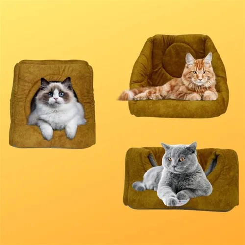 Pet Pretty Mustard Cat and Dog Slot 3 Separate Use