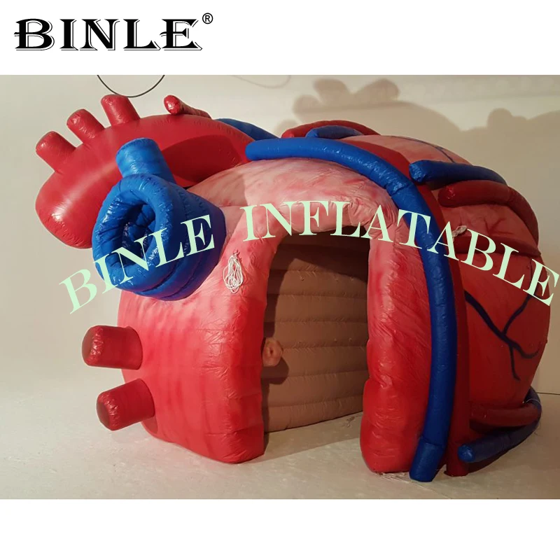 Free express shipping 3mH advertising balloon giant inflatable heart tunnel tent inflatable organ model for medical exhibition