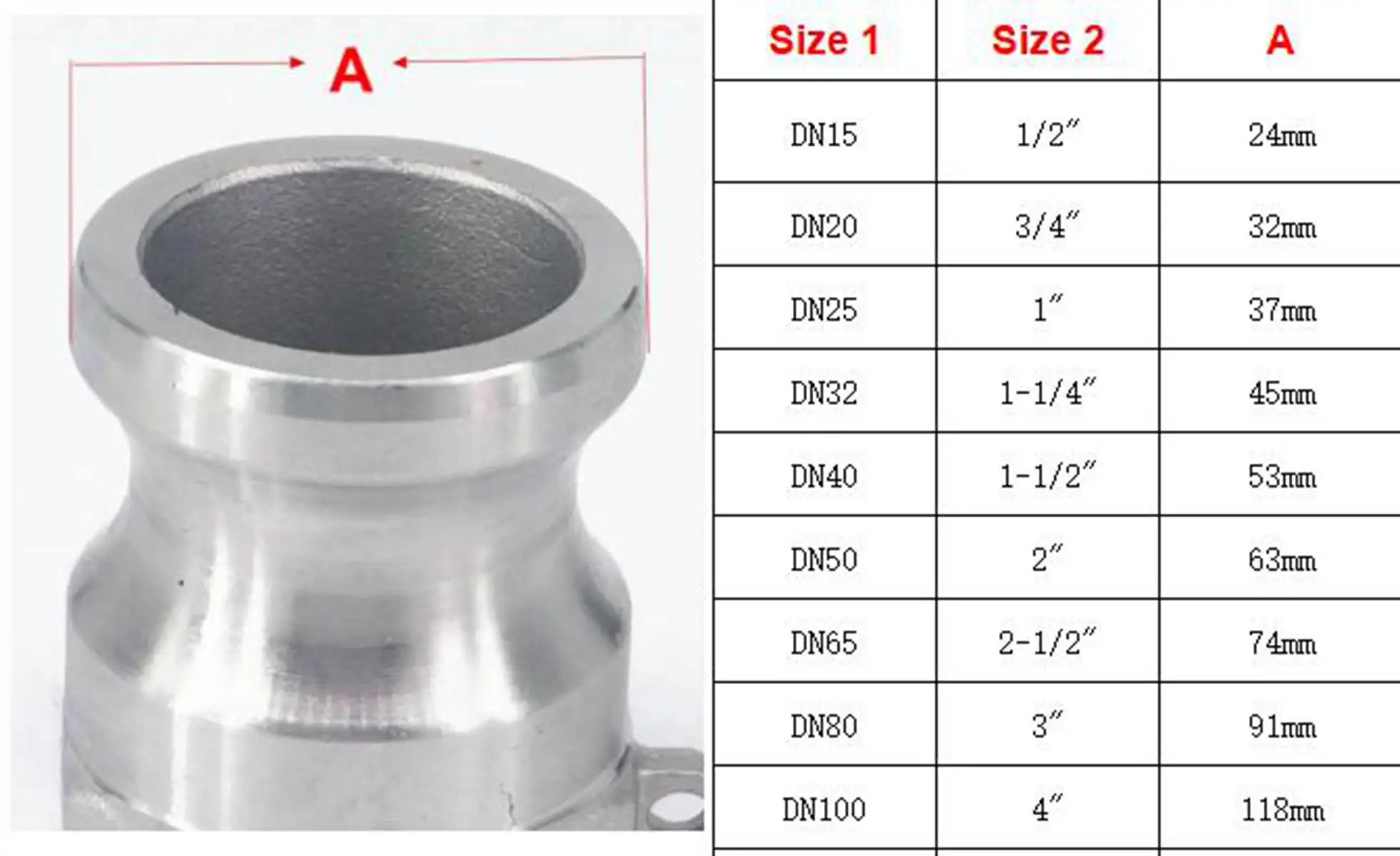 2 "BSP filetto maschio 304 acciaio inossidabile tipo F spina Camlock raccordo camma e scanalatura