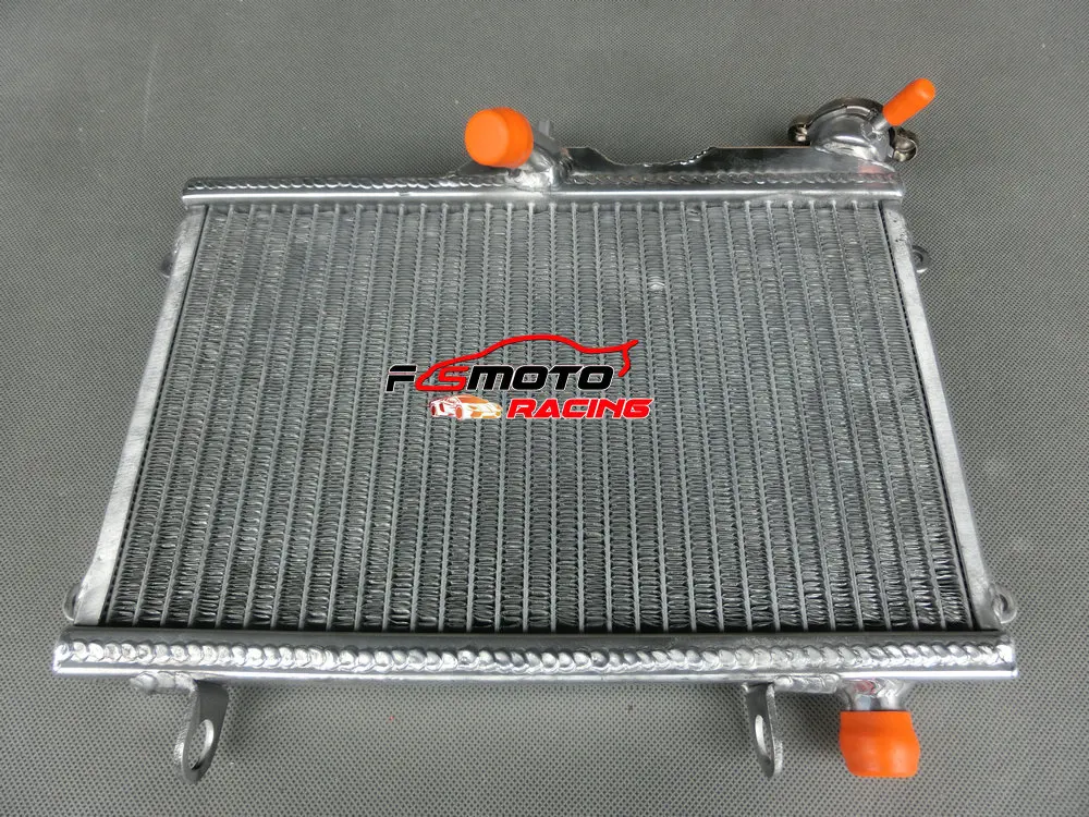 Aluminum Radiator Racing Heat Exchanger for Yamaha TDR250