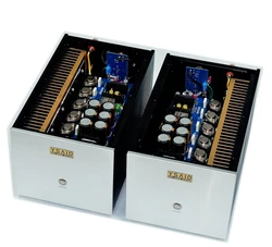 Un riferimento di coppia famoso circuito macchina T350 HiFi amplificatore di potenza mono sigillato in oro Super classe A amplificatore Post diviso 300W * 2