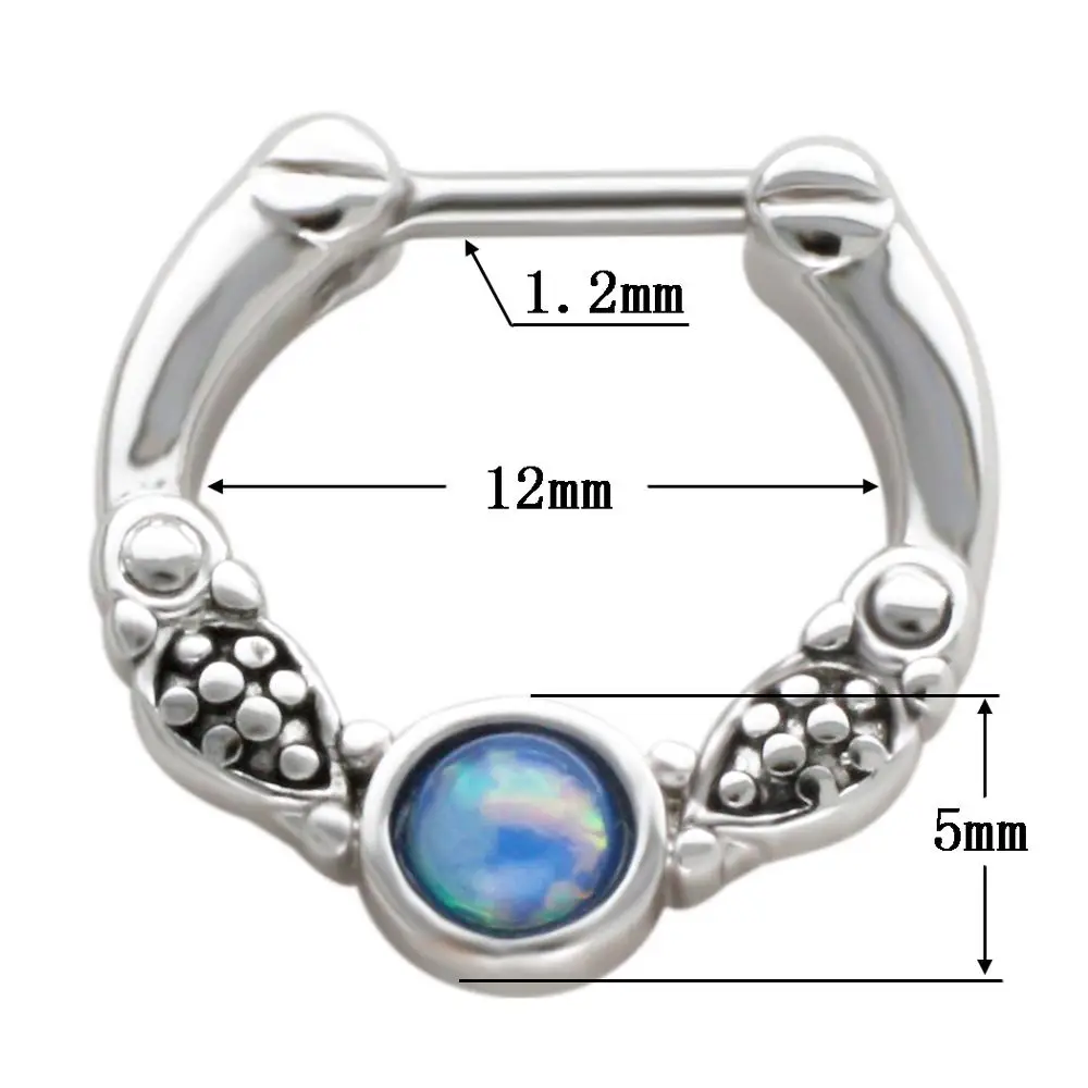 JHJT Nose Piercing Ring 16G Charms Indian Septum Clicker Nose Rings Piercing Body Jewelry Ear Hoops Helix Piercing Gift