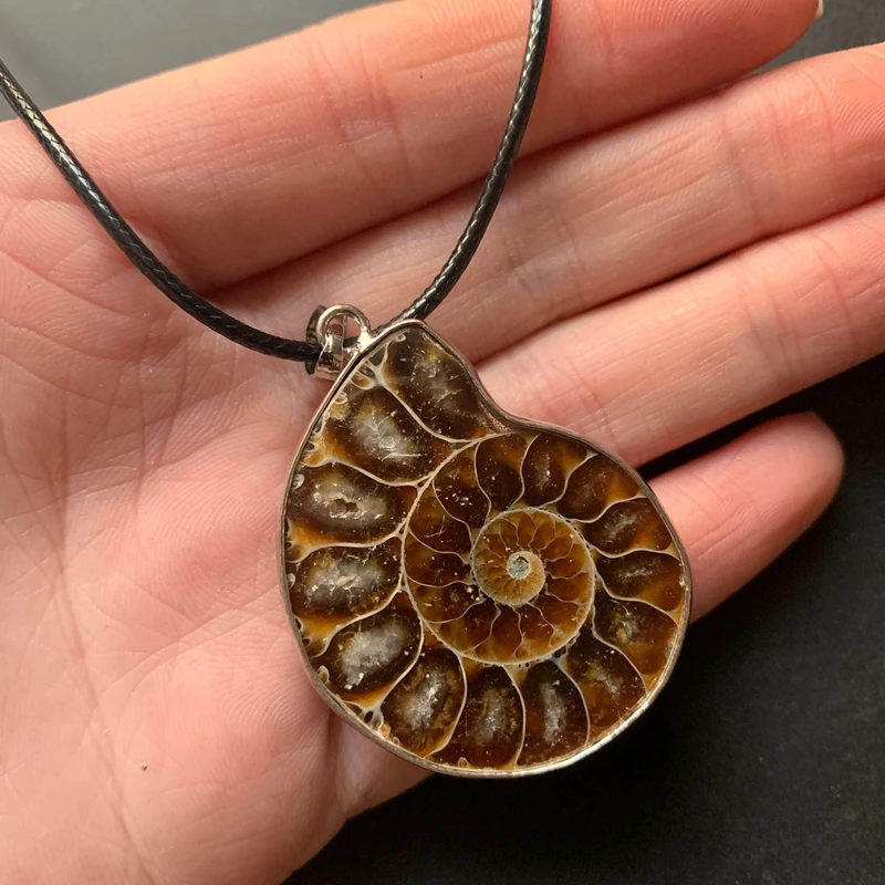 Stone Ammonite Natural Spotted Conch Seashell Snail Pendant Specimen Stones Decoration 1pc