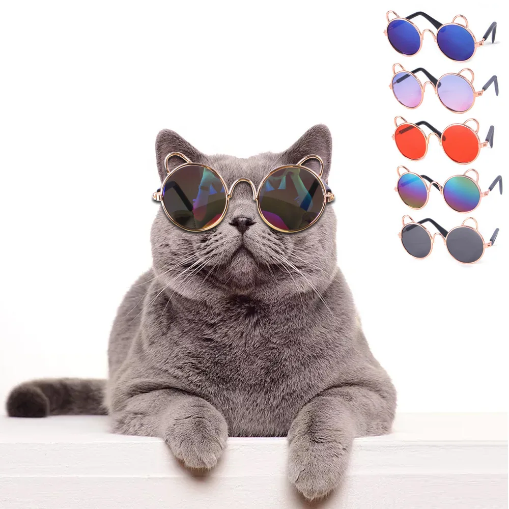 

Personalized Gradient Colour Pet Sun Glasses Summer Protection Decoration Cat’s Accessories Cute Design Funny Teddy Sunglasses