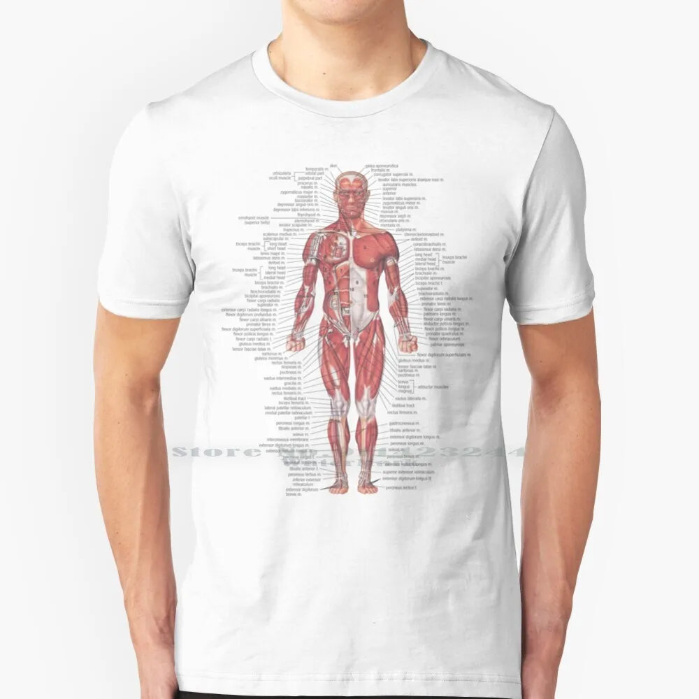 Мышечная система человеческого тела футболка хлопок 6XL биология студент медицина Nhs научная схема человека