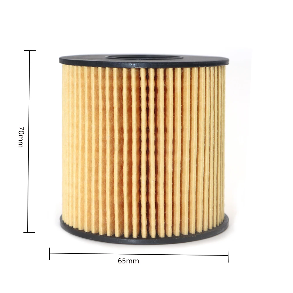 10Pcs Oil Filter For Peugeot 207 1.6 2006-2013 206 3008 307 308 407 Citroen C4 C3 C5 DS3 DS4 DS5 Ford Transit 1109X3 11427557012