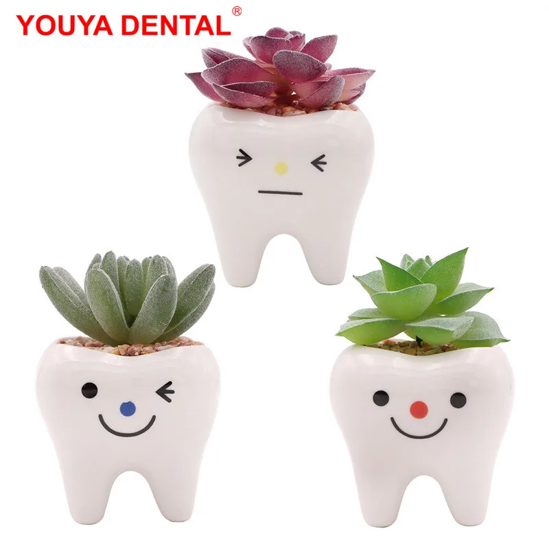 Dental Tooth Shape Flower Vase Home Decoration Pot Creative Garden Planter Pot Ceramic Pen Holder Cute   Dentistry Dentist Gifts