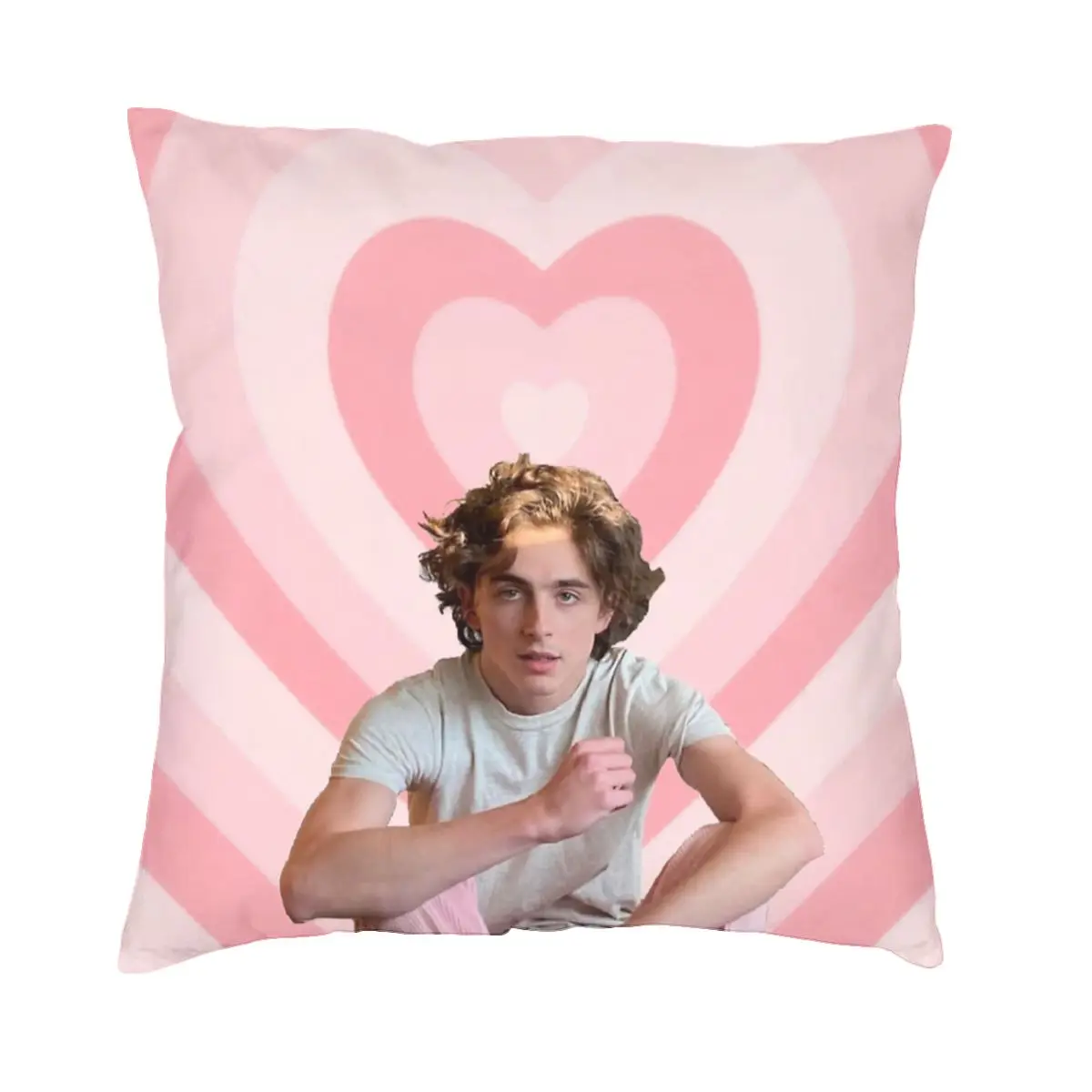 Timothee Chalamet Pillowcase Printed Polyester Cushion Cover Decor Pillow Case Cover Sofa Dropshipping 40*40cm