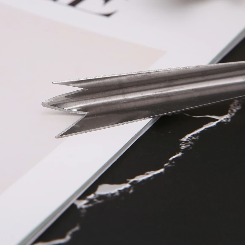 ステンレス鋼のパイナップルとフルーツのスライサー,キッチンツール,a0nc