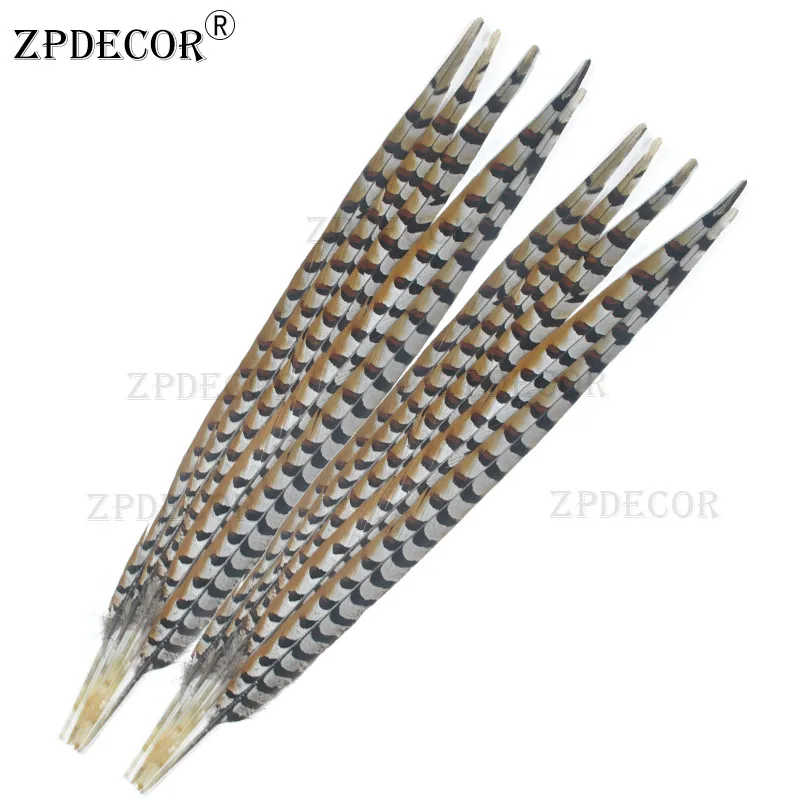 ZPDECOR-Natural Reeves Pheasant Feathers, 65-70cm, 26-28 in