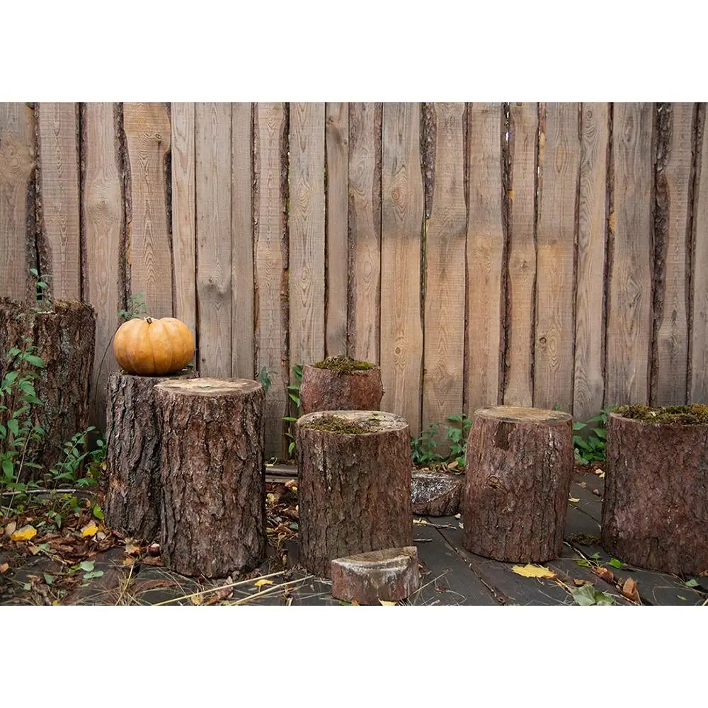 Fondos de fotografía de pared de madera para niños, fiesta de Halloween de vinilo para telón de fondo, sesión fotográfica, topos, calabaza, otoño