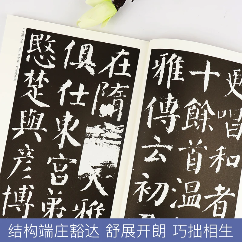 Chinese Brush Calligraphy Book Writing Copybook Stone Inscription Adult Beginners Use Learn Yan Zhenqing Yan Qinli Stele Hanzi