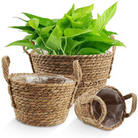 Handmade Storage Folding Basket Seagrass Plant Pot Potted Flowers Plant Table Top Pot Rattan Straw Flowerpot Basket With Handle