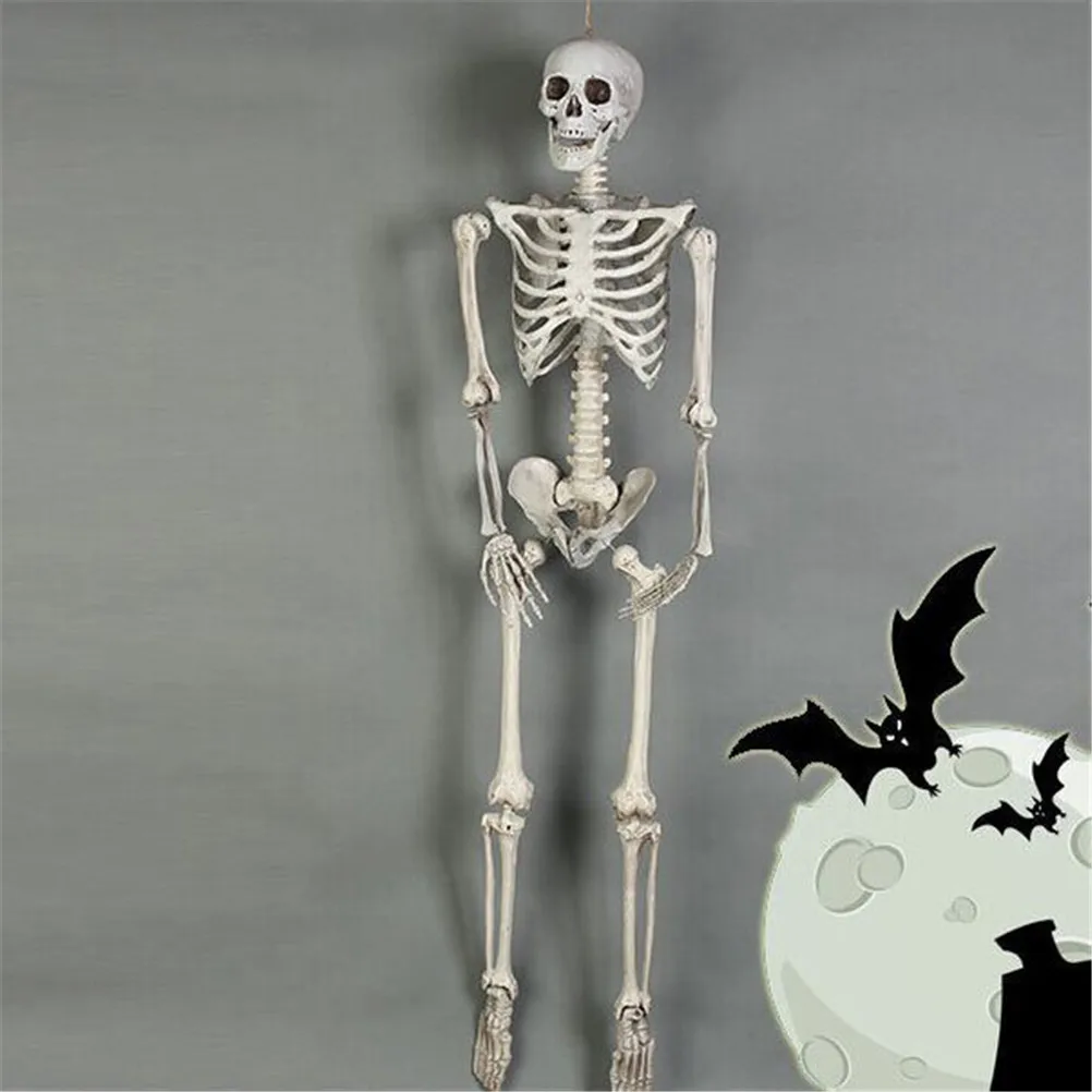 40CM scheletro modello all\'ingrosso impara aiuto anatomia arte schizzo Halloween flessibile anatomia umana anatomia osso