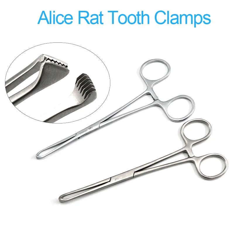 Alice Rat Tooth Clamps Pet Orthopaedic Surgical Instruments Tissue Forceps Cervical Forceps Uterine Forceps