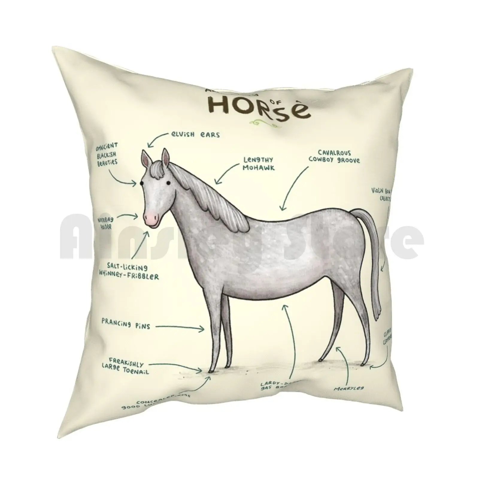 Anatomy Of A Horse Pillow Case Printed Home Soft DIY Pillow cover Anatomy Funny Comedy Humour Humor Silly Animal Animals