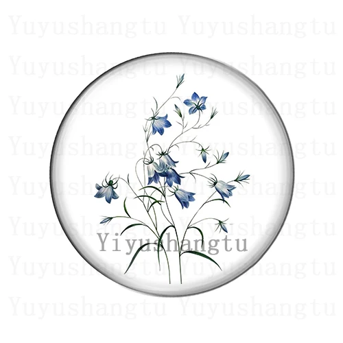 Art simple style Small grass flower painting 12mm/18mm/20mm/25mm Round photo glass cabochon demo flat back Making findings