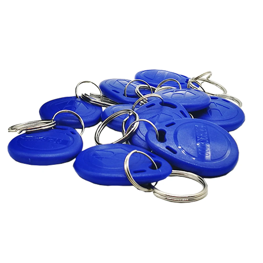 10 adet okuma sadece Read yakınlık 125Khz RFID Keyfobs kart erişim kontrolü anahtarlık kart