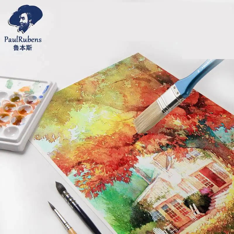 Paul Rubens Professional กระดาษสีน้ําผ้าฝ้าย 50% 300g 8k/16k หนา Fine/หยาบ Grain ภาพวาด Art Supplies