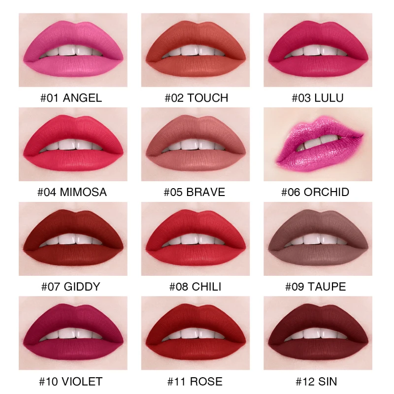 12 Color Professional Lip Gloss Sample Lip Glaze Matte Long Lasting Non-stick Cup Liquid Lipstick Long Lasting Cosmetics TSLM1