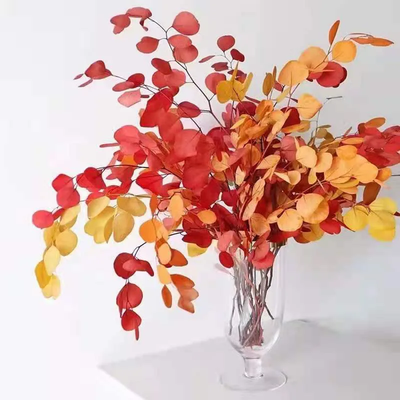 

Dried Natural Fresh Forever Branches Preserved Round Leaves Flowers Apple Eucalyptus For Home Decor Wedding Mariage