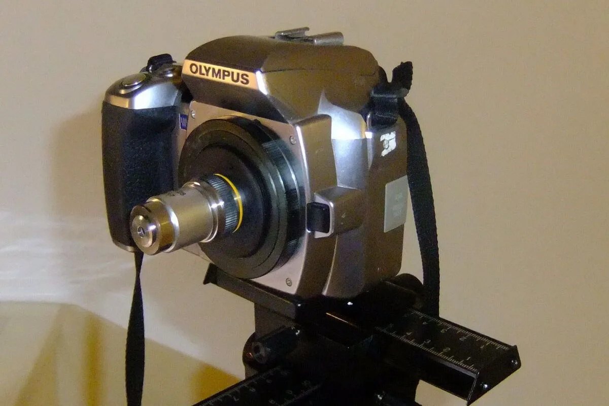 RMS-M42フランジアダプタrmsスレッドにM42 x1ミリメートル顕微鏡対物