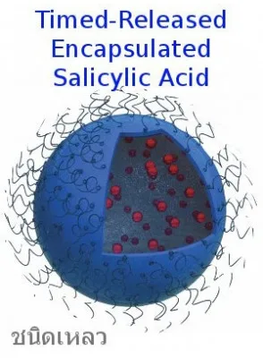 20 % Salicylsäure-Akne-Creme, chemische Schälen, Pickel-Entferner, Akne, Gesichtsreinigung, Porenreiniger, Follikulitis, Pickel