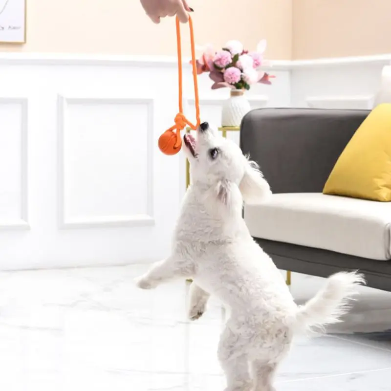 Dog Chew Training Ball Toys Tooth Cleaning Chew Ball Puppy Pet Play Training Rubber Chewing Toy With Rope Handle