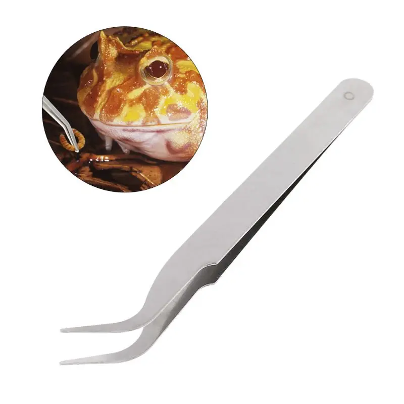 Pinzas limpieza Clip acero inoxidable, suministros alimentación para reptiles, cuidado orejas para mascotas, venta por mayor