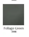 FG