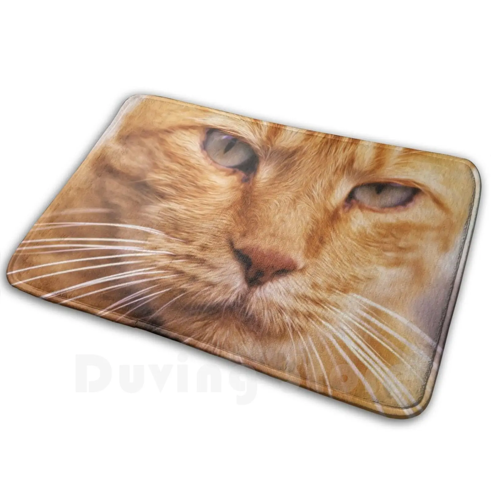 Pissed Ginger Carpet Mat Rug Cushion Soft Cat Feline Kitty Pussy Puss Ginger Orange Cats Eyes Fat Cat Animal Face