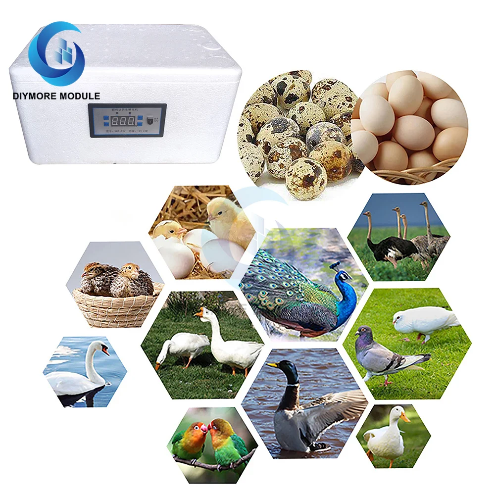 22 / 42 Position Family Eggs Incubator Automatic Home Digital Chicken Poultry Hatcher Foam Waterbed Farm Incubation Tools