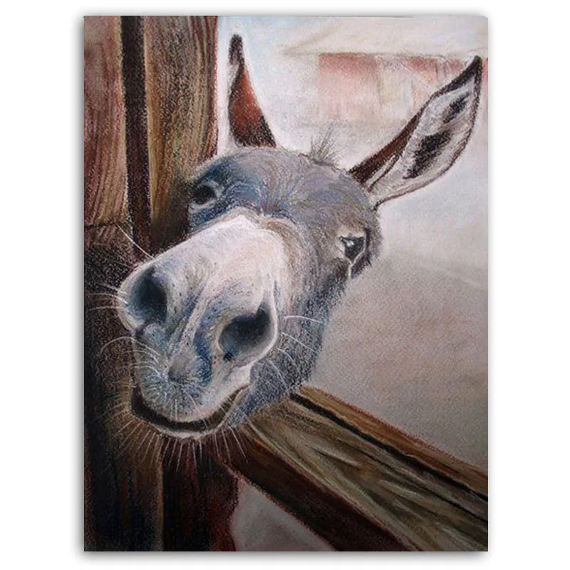 5D animal DIY diamond painting full square/round diamond embroidery sale donkey diamond mosaic full layout home decor for fome