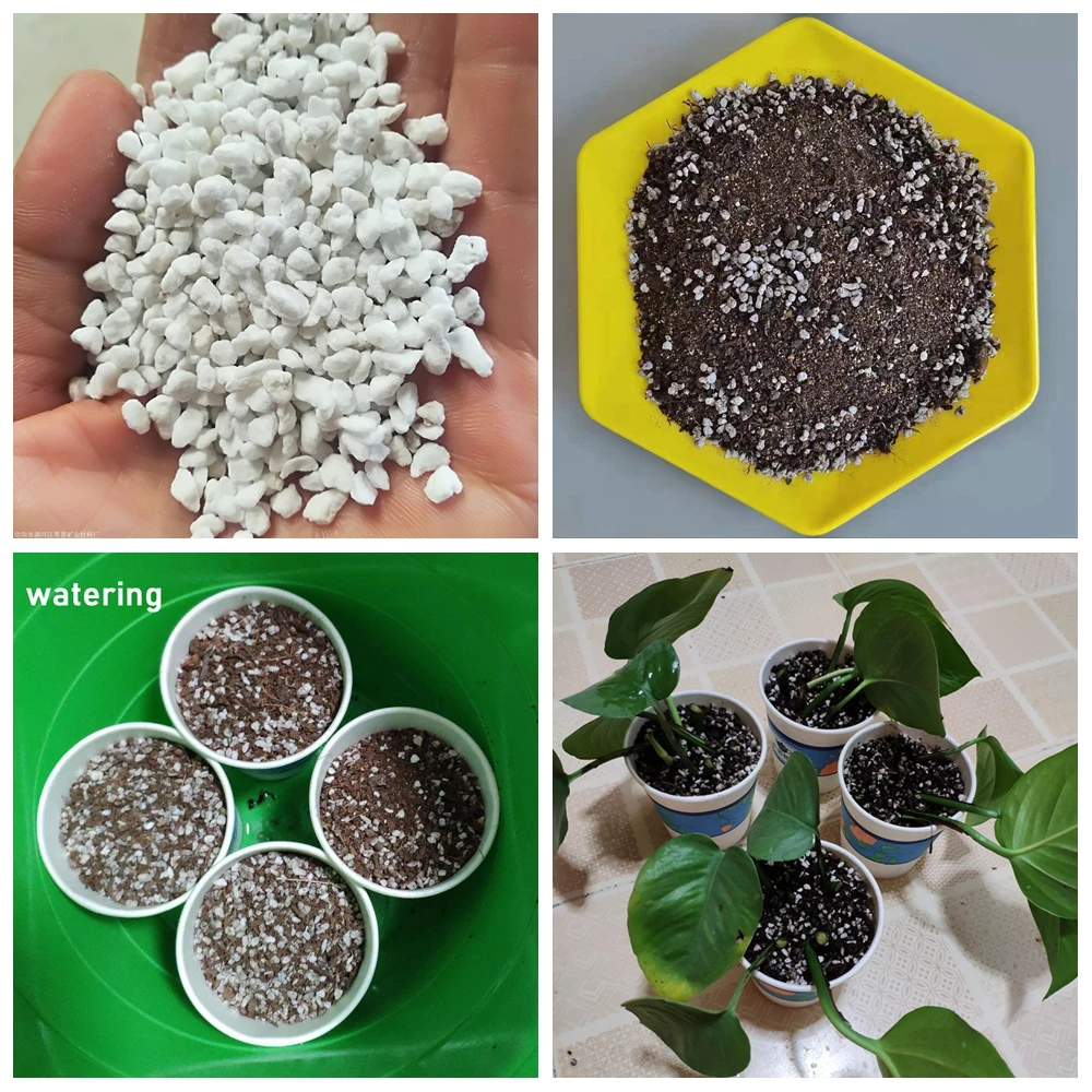 Pellet Perlite Configurar o Solo Nutriente, 50g, 0.5l, Respirável, Berçário, Substrato Solto do Solo, Jardim, Bonsai