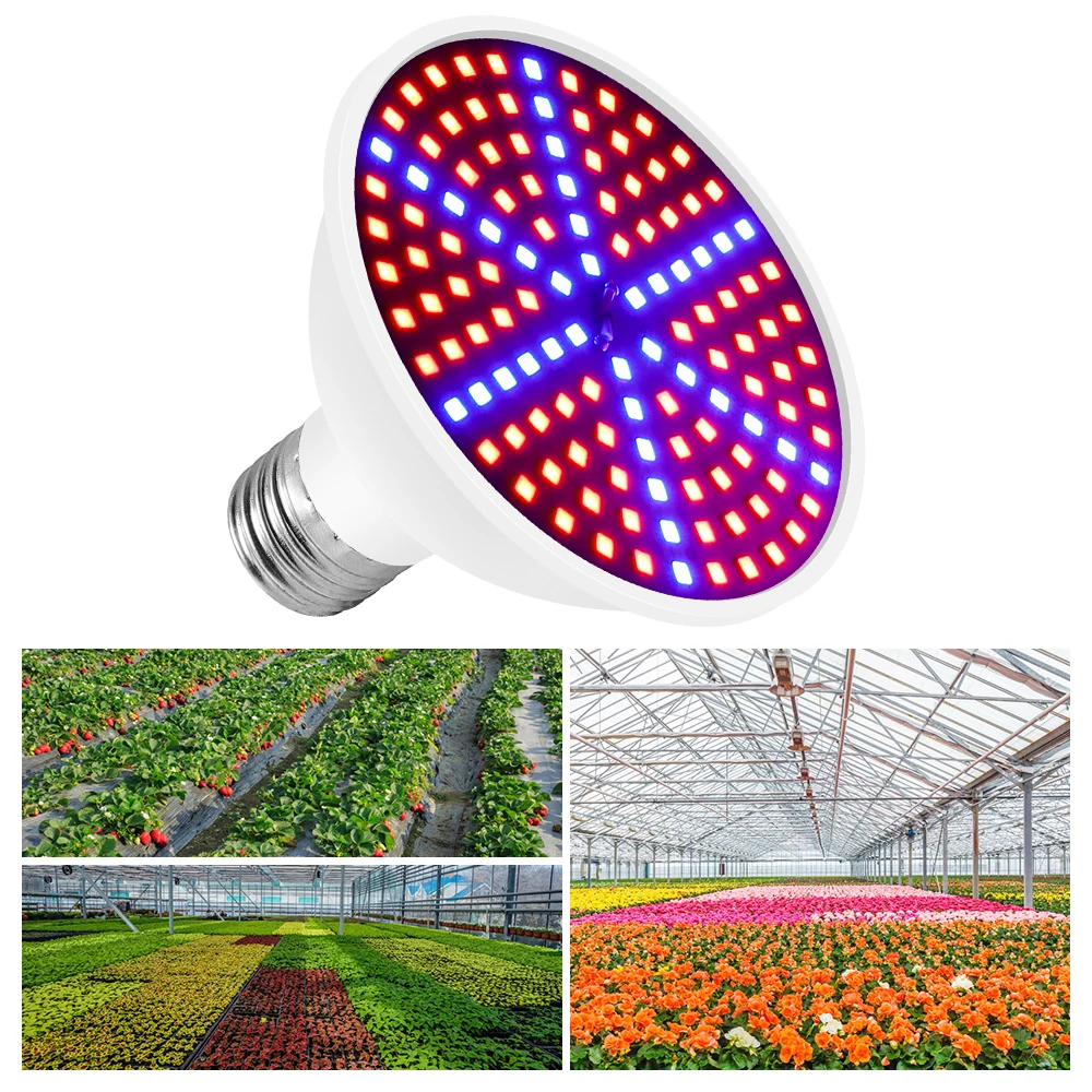 WENNI E27 LED Plant Growing Lamp E14 LED Grow Light Full Spectrum Bulb GU10 48 60 80 126 200leds Greenhouse MR16 Phyto Lamp B22