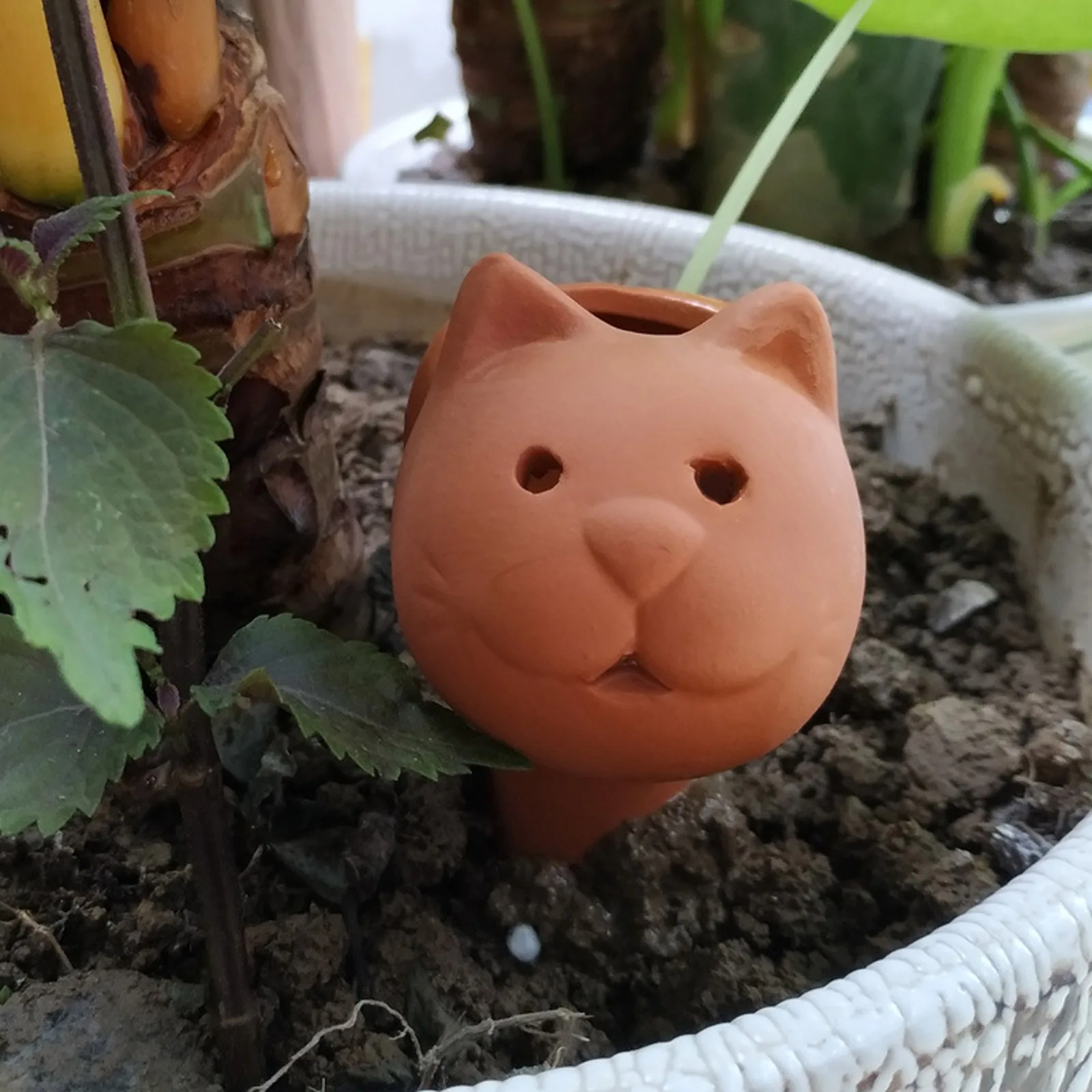 Argila ajustável 12*8.5*5cm dos desenhos animados da ferramenta do conta-gotas do ponto de rega de terracota da planta automática para plantas internas e exteriores