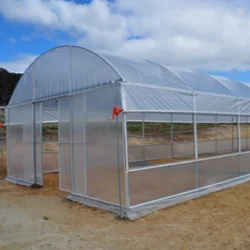 8M*30M-Good Quality And Easily Installed Agricultural/Commercial Green House