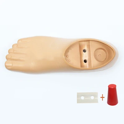 Prosthetic Foot Board Two-Hole Movable Ankle 21～27cm Accessories Parts Artificial Limbs Ortheses Prostheses Sockets Fasten