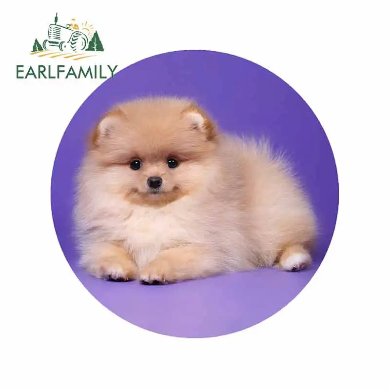 EARLFAMILY 13cm x 13cm for Pomeranian Spitz Dog Puppy Fluffy Graffiti Sticker DIY Occlusion Scratch Repair Waterproof VAN Decal