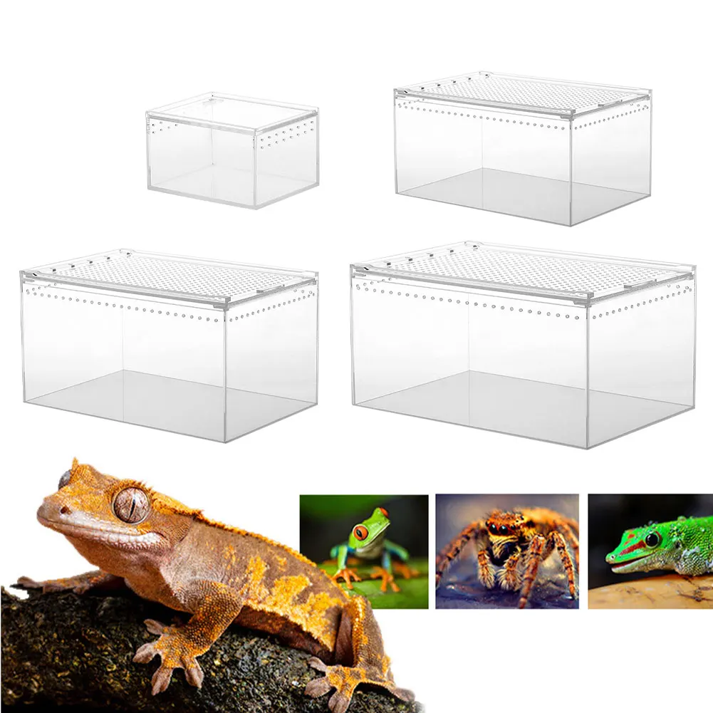 Reptile Breeding Box Transparent Acrylic Reptile Feeding Box Multipurpose Terrarium For Insect Tarantulas Amphibians Lizard