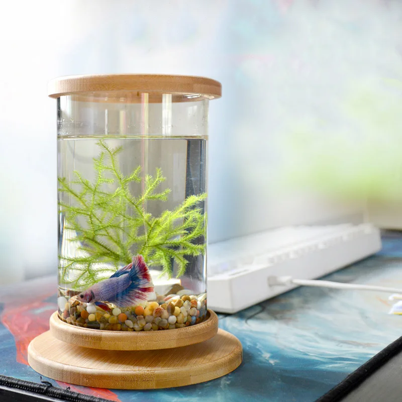 Mini Glass Fish Tank with Bamboo Base, DIY Fish Tank, Decoration Accessories, Rotate Decoration, Desktop, Ecological Bottle, 1Pc