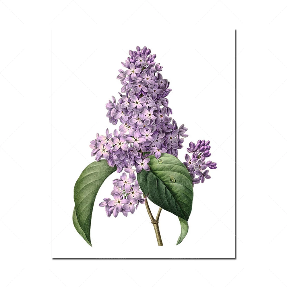 الانطباعات دي فلورز بنفسجي، الرسوم التوضيحية الرجعية، فرقة دي آرت جدارية فيطيتال دي 4 انطباعات