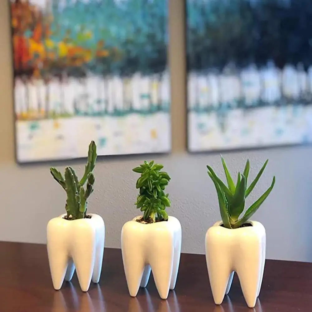 1Pcs Tooth Shaped Tabletop Ceramic Flowerpot Home Furnishings Cute Cactus Pot Flower Succulent Plant Nursery Basin Table Va L5L0